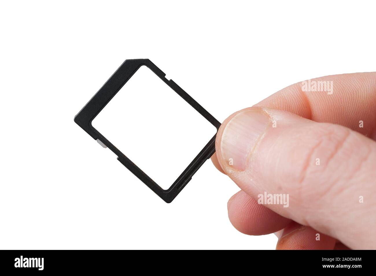 Man fingers hold a blank label SD (standard definition) memory card