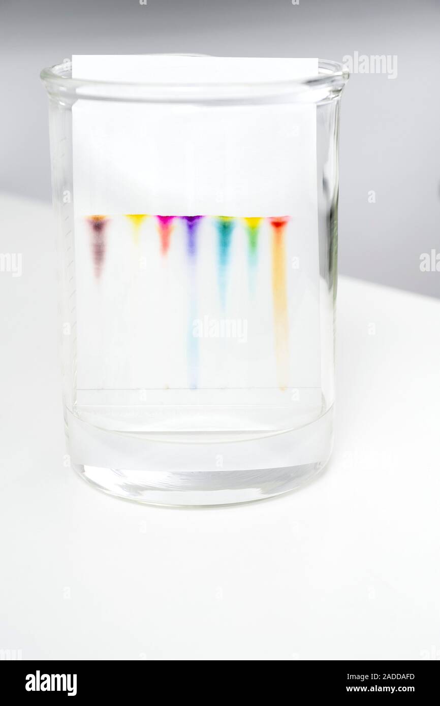 Chromatography of coloured inks. Chromatography is an analytical