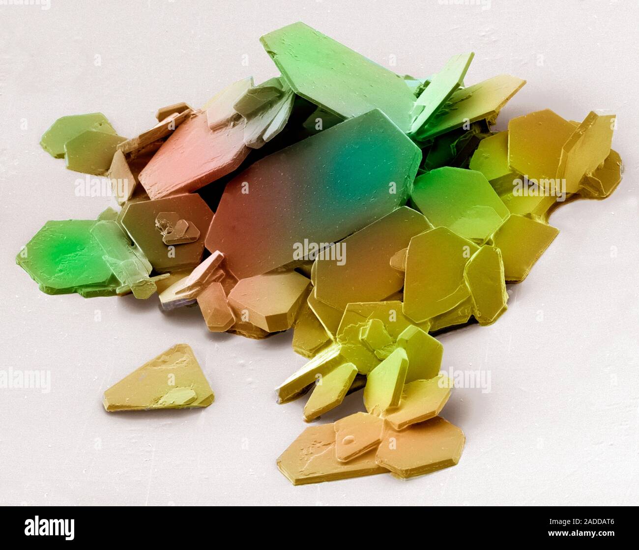 Aspirin crystals, coloured scanning electron micrograph (SEM). Aspirin