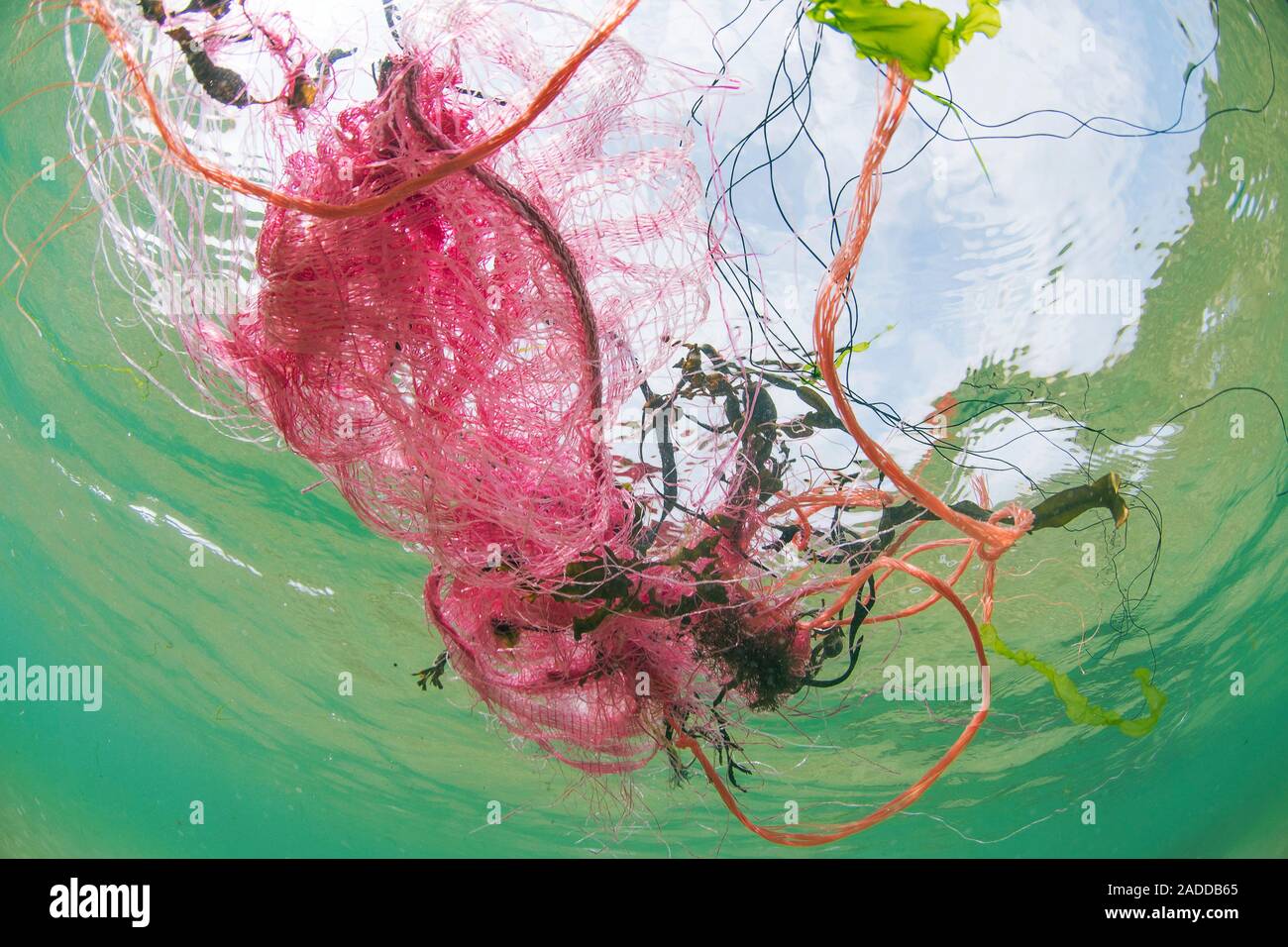 Plastic fishing nets floating in ocean. Plastic pollution is a major