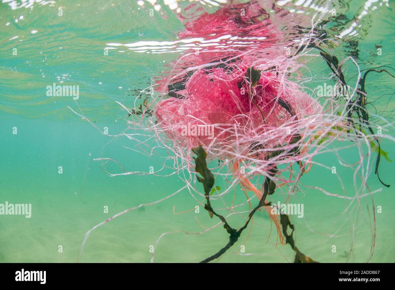 Plastic fishing nets floating in ocean. Plastic pollution is a major