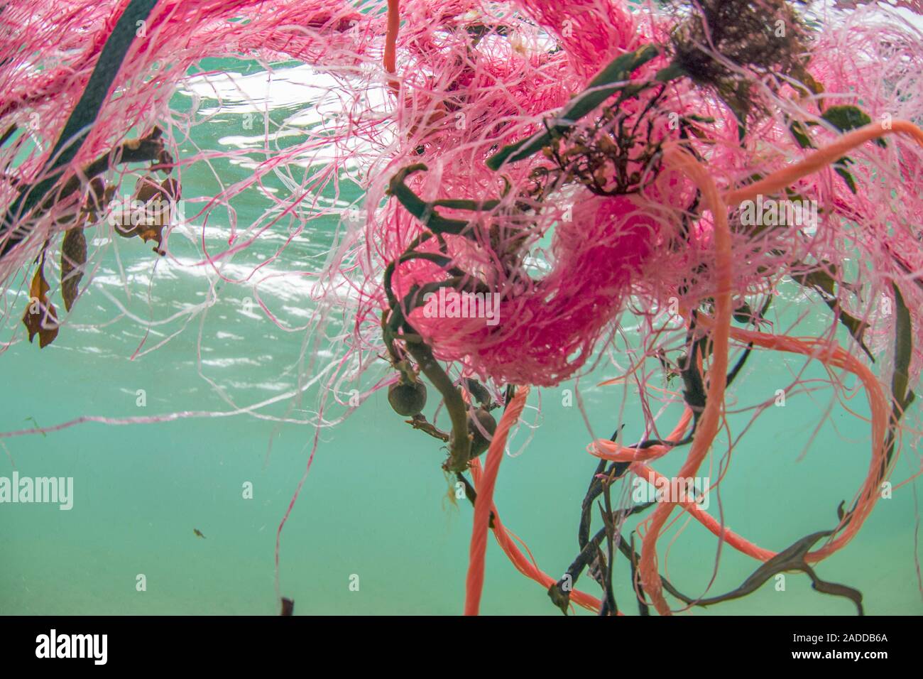 Plastic fishing nets floating in ocean. Plastic pollution is a major