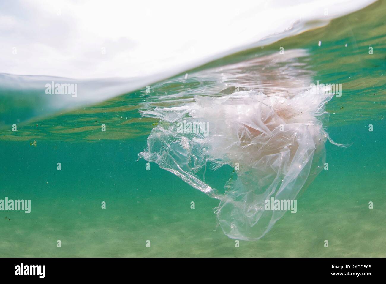 Plastic floating in ocean. Plastic pollution is a major problem in seas ...