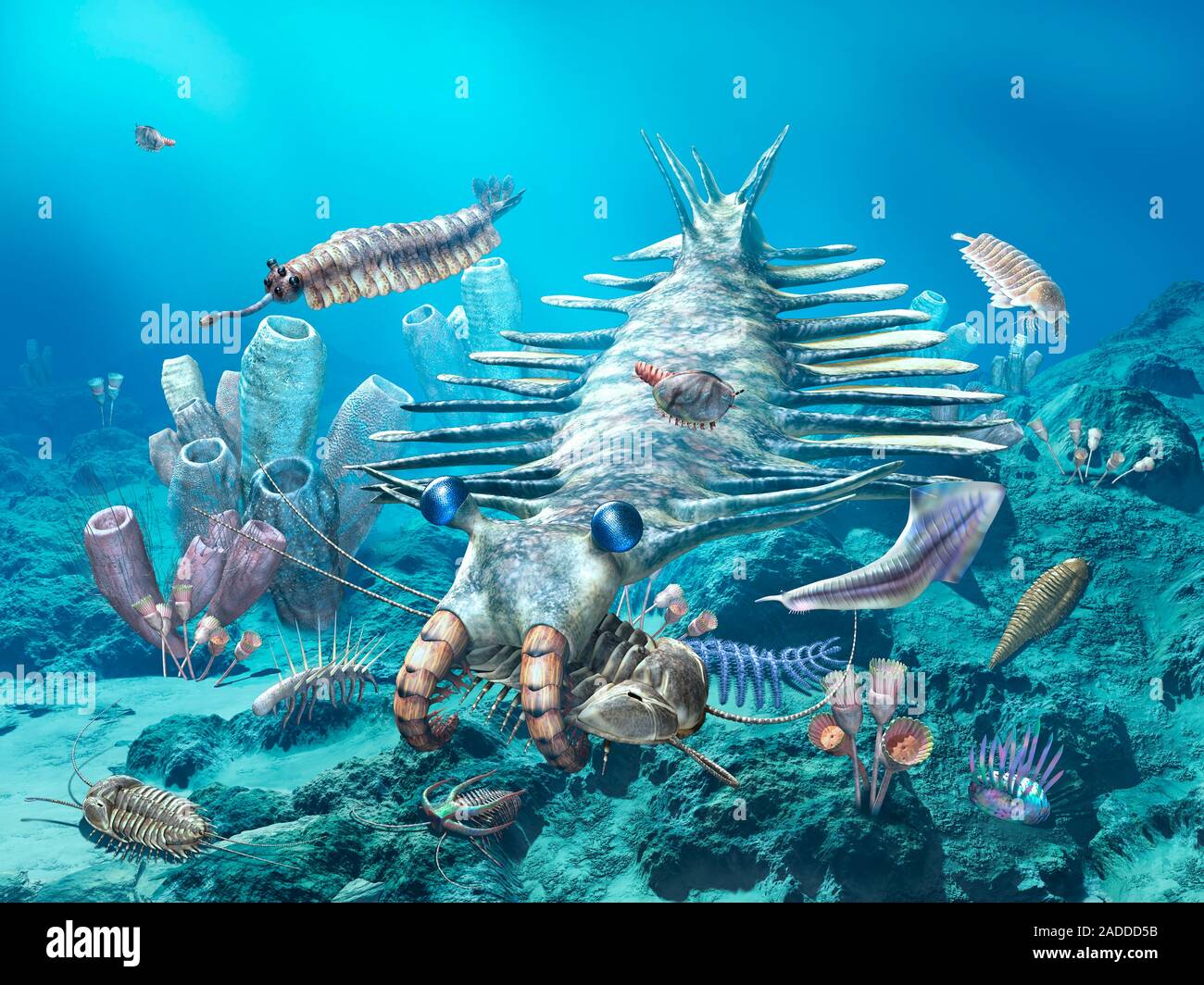 Cambrian sea Computer illustration showing various prehistoric marine