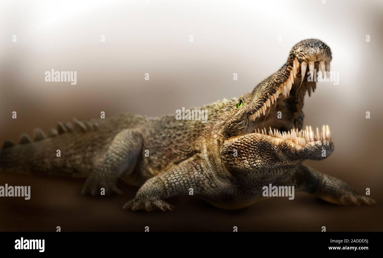 Redondasaurus phytosaur, computer illustration. Phytosaurs were