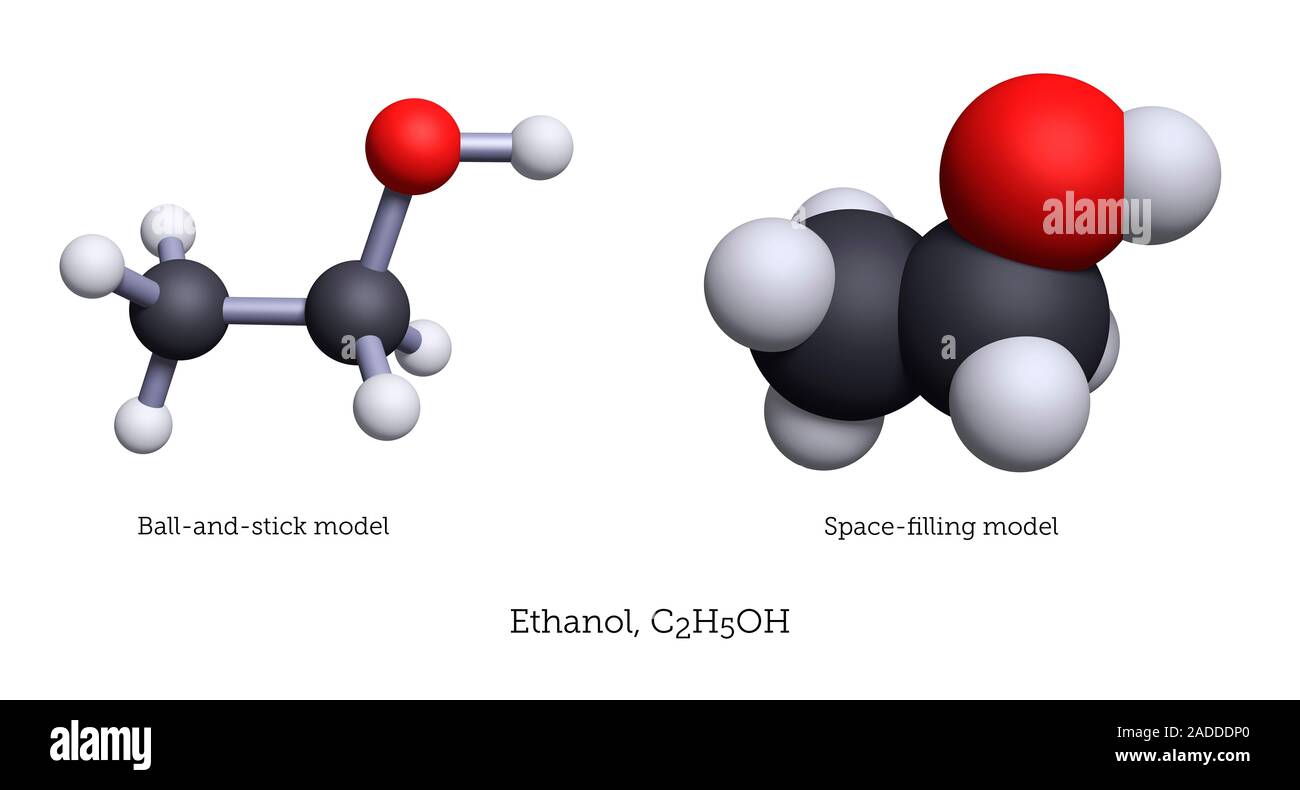Ethanol alcohol, molecular models. Ethanol is produced naturally by
