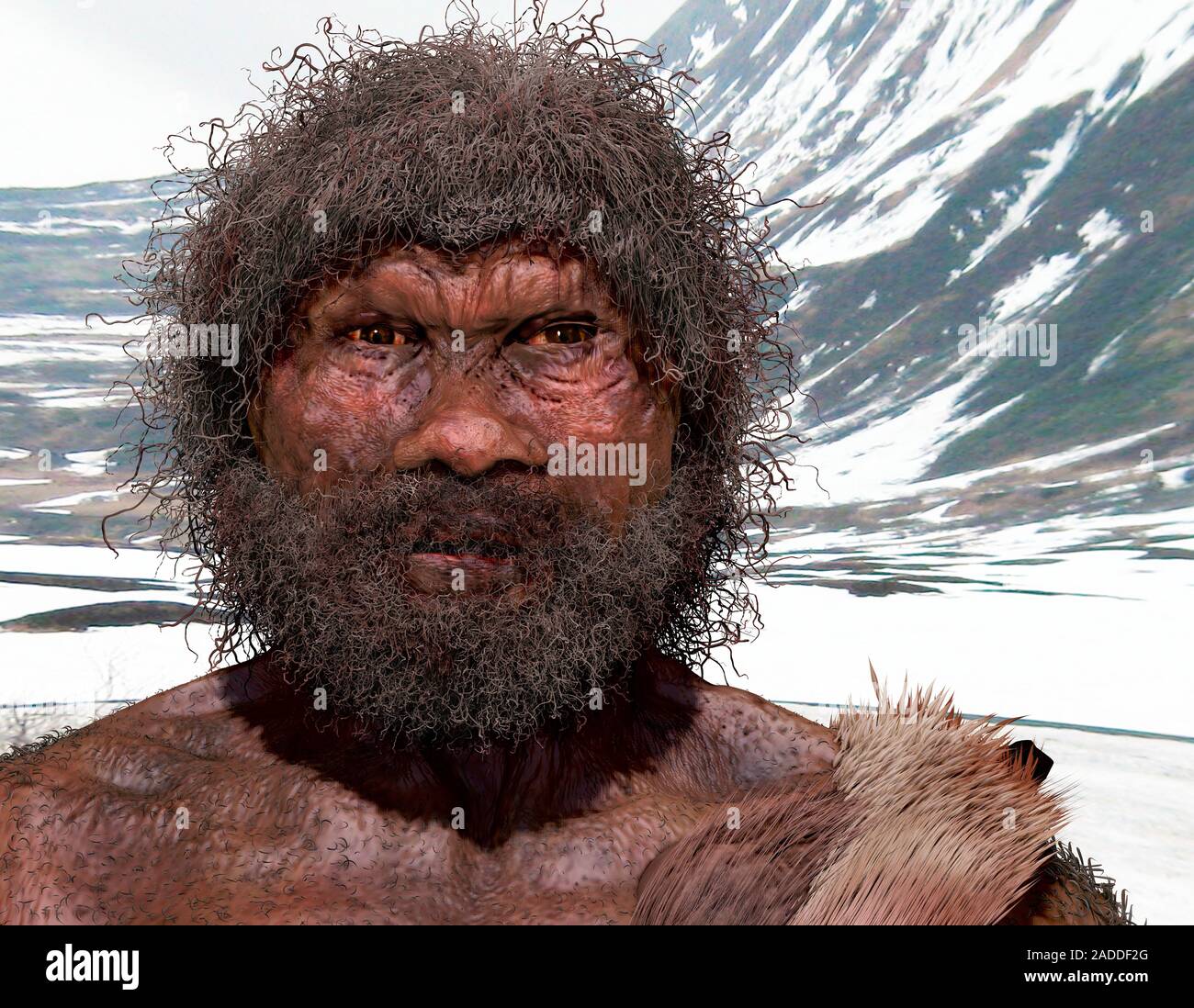 Homo heidelbergensis. Illustration of Heidelberg Man (Homo
