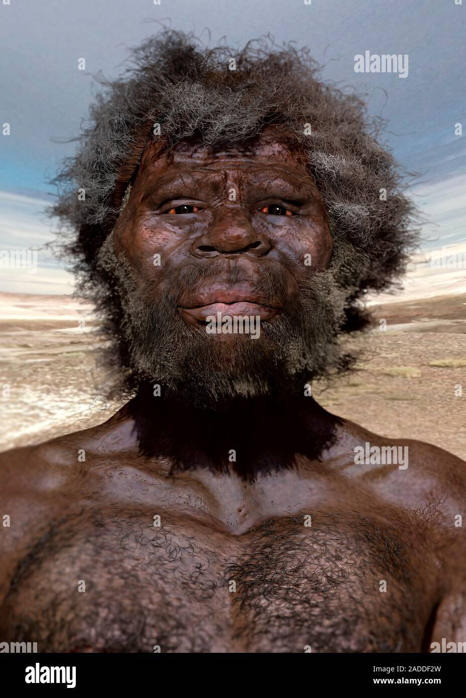 Homo sapiens (Jebel Irhoud). Illustration of a prehistoric human, based