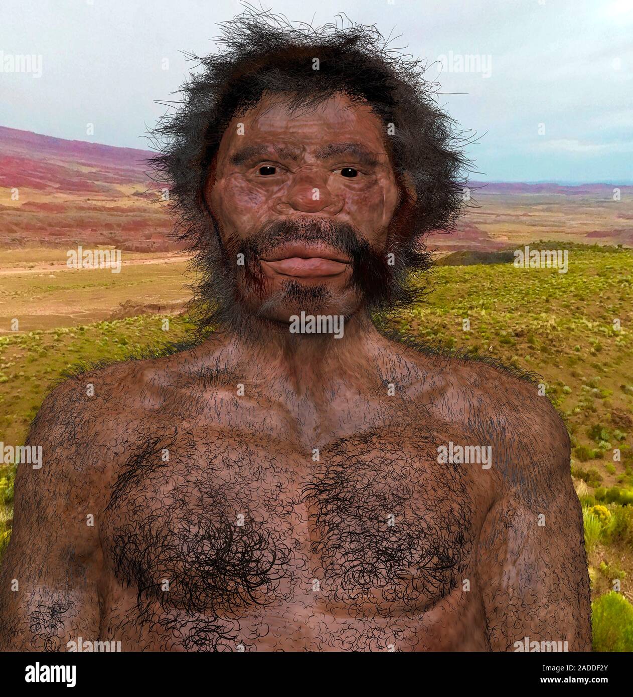 Homo sapiens (Jebel Irhoud). Illustration of a prehistoric human, based