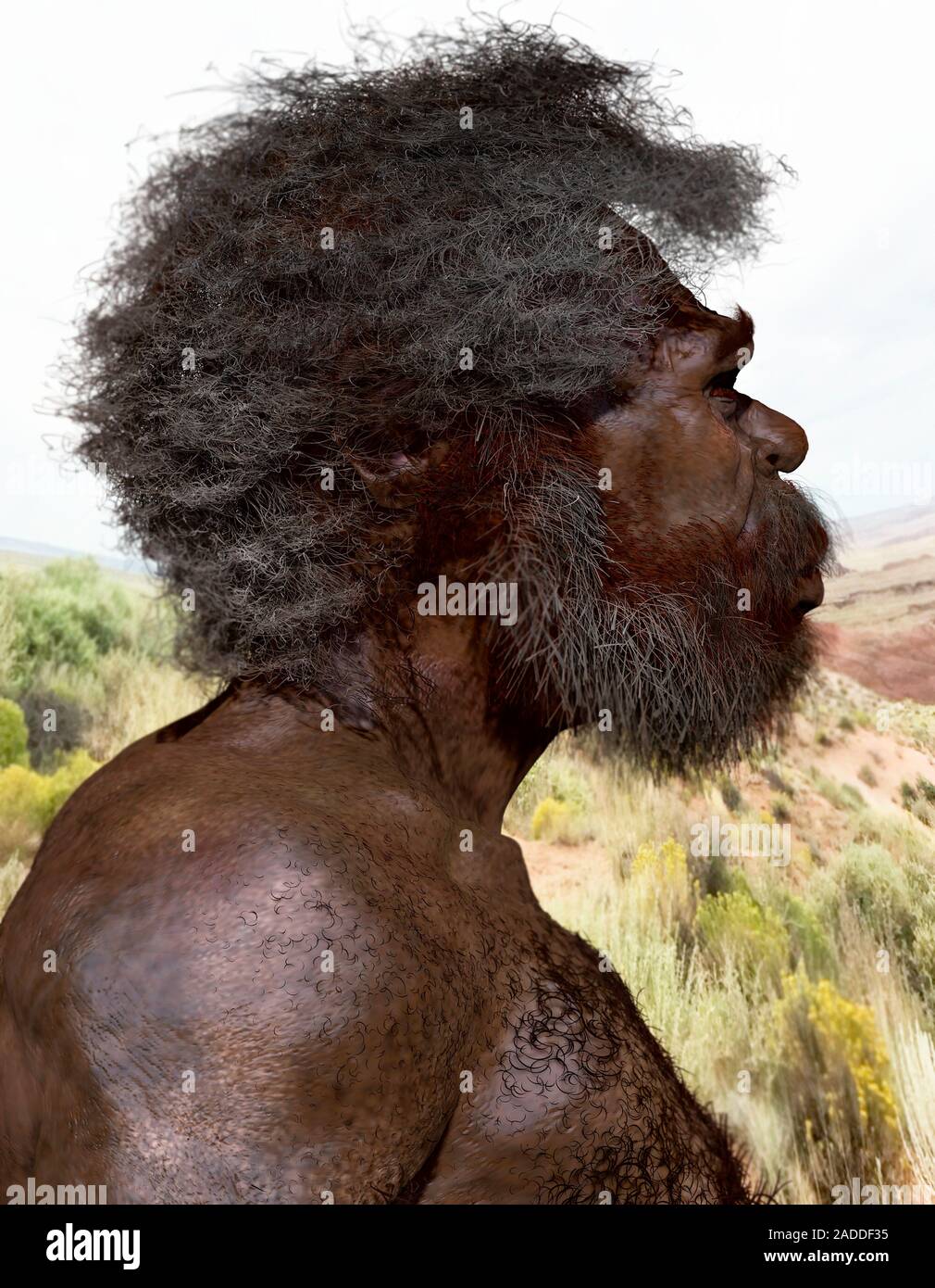 Homo sapiens (Jebel Irhoud). Illustration of a prehistoric human, based