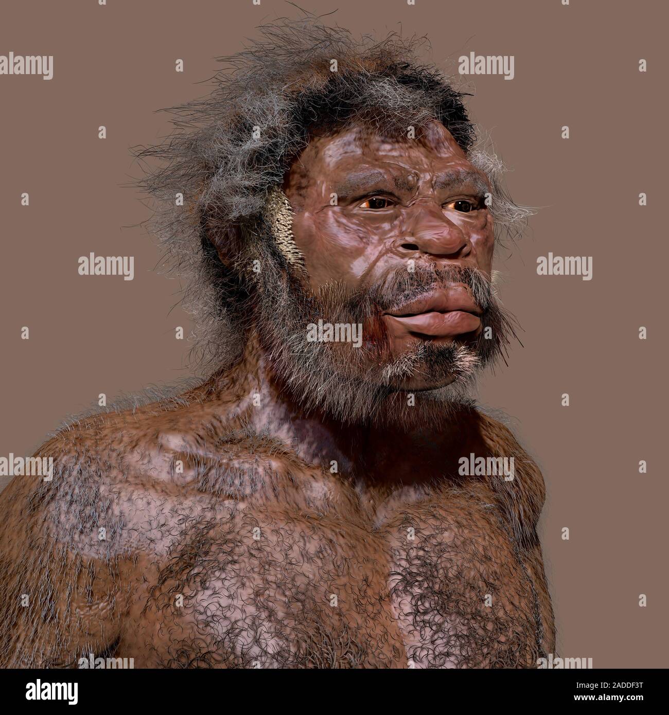 Homo sapiens (Jebel Irhoud). Illustration of a prehistoric human, based