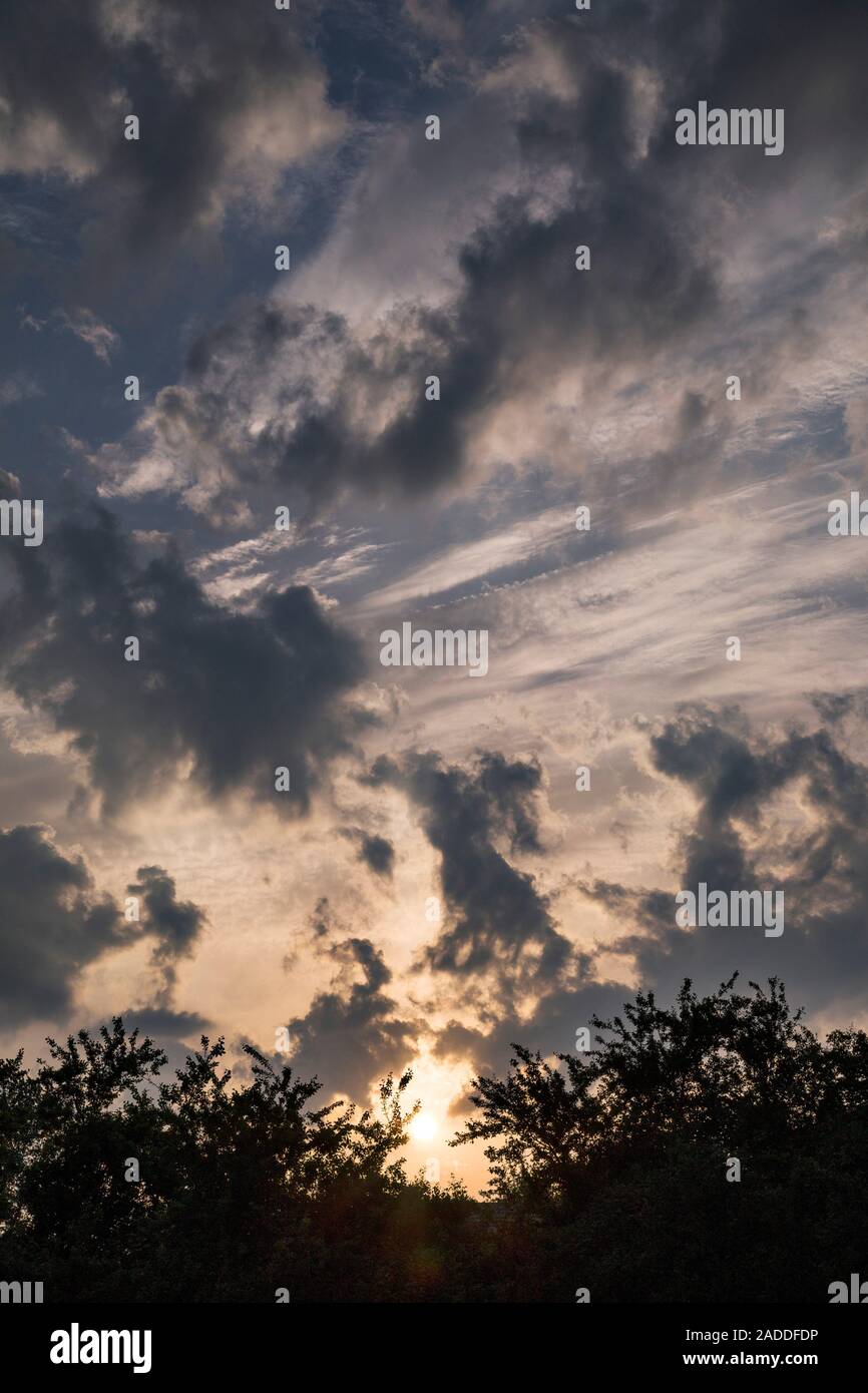 Altocumulus floccus clouds at sunset. Altocumulus clouds occur at middle altitudes (2400-6000 metres). There are several types of altocumulus clouds. Stock Photo