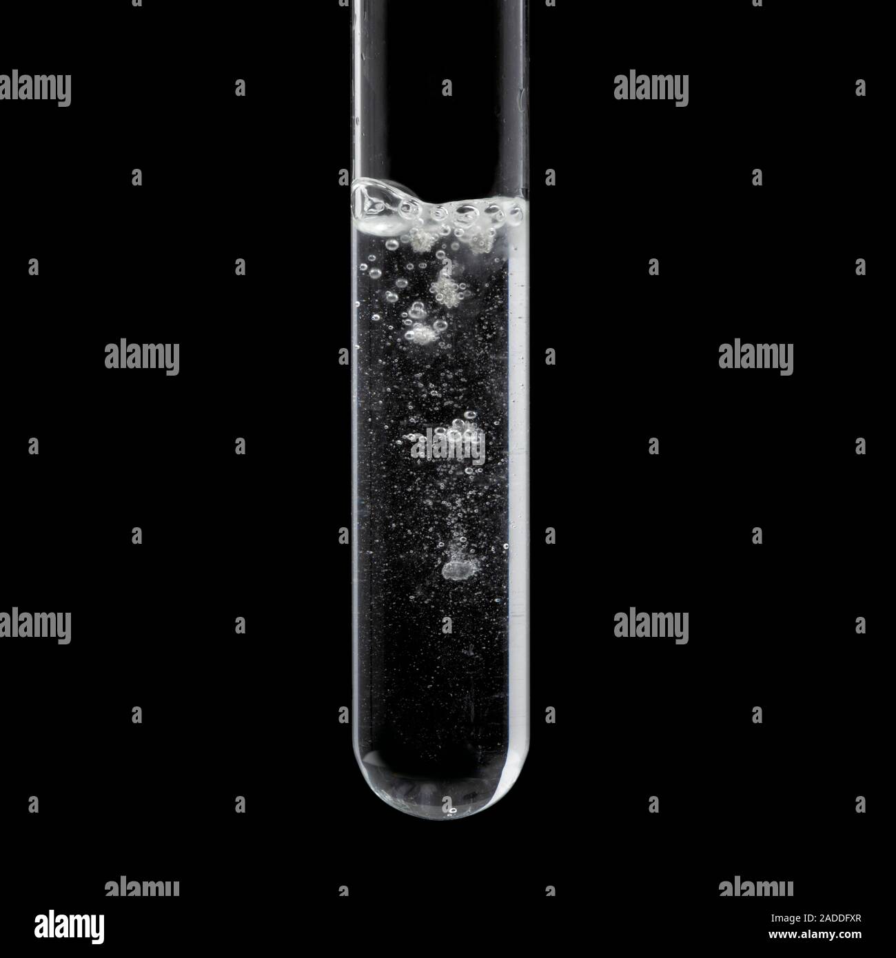 Calcium reacting with water, initial stage. Calcium metal (Ca) reacts