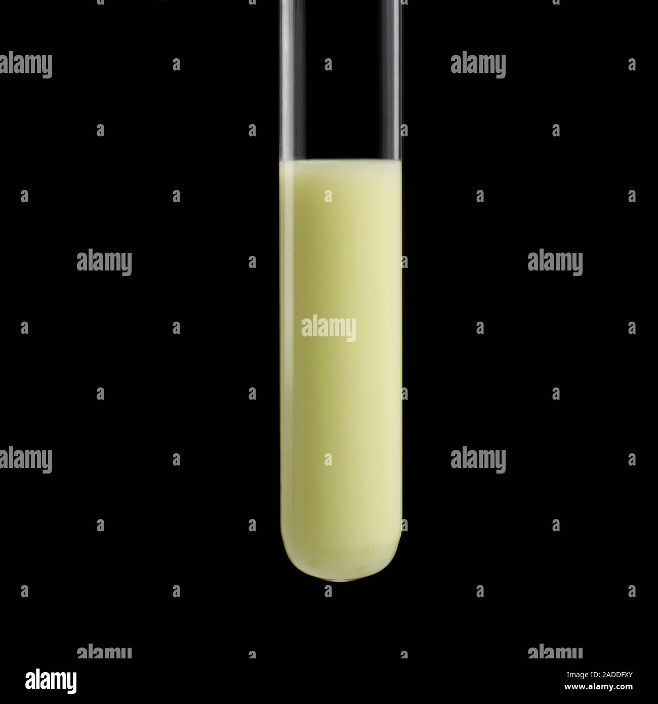 Silver nitrate test for bromides. Silver nitrate (AgNO3) is used as a