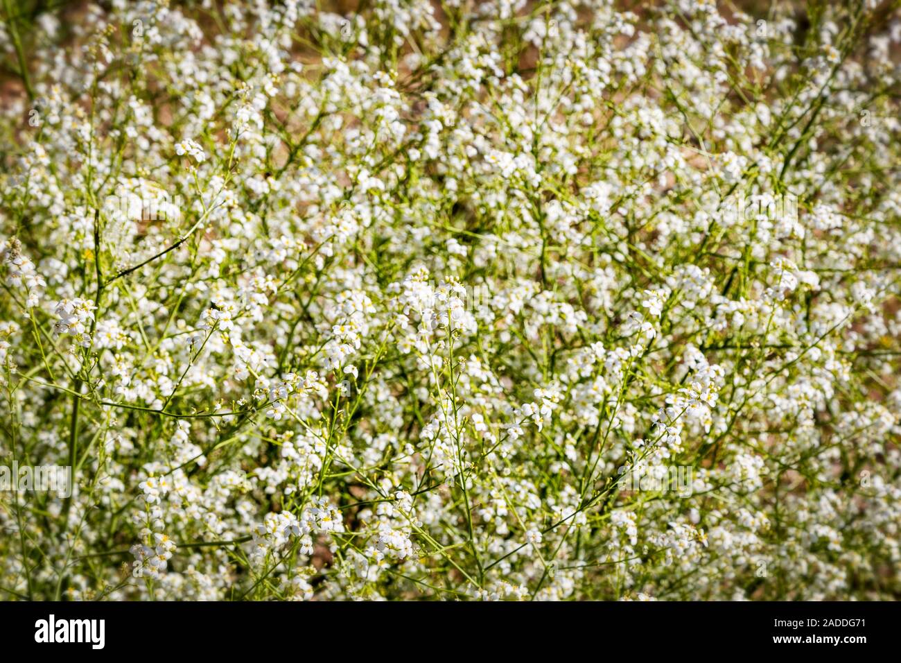 Autumn in Dorfak Stock Photo - Alamy