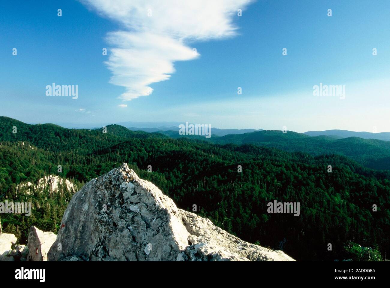 Bijele stijene mountains and forest in Croatia Stock Photo