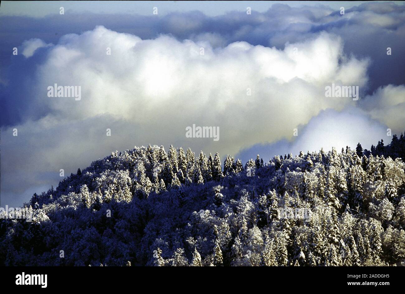 Clouds with fresh snow on the Bijele stijene mountains in Croatia Stock Photo