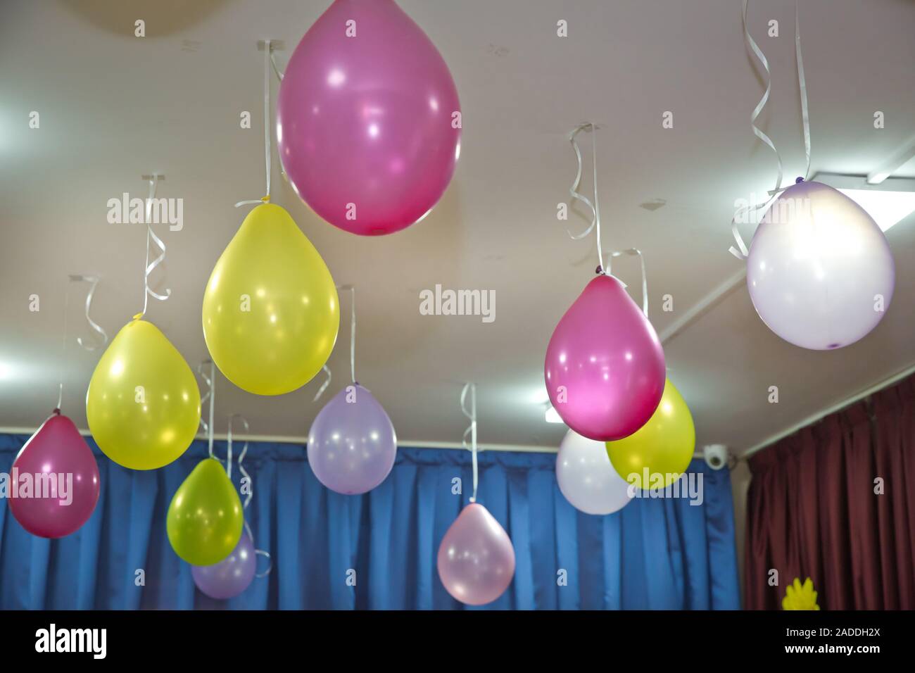 Pink And Yellow Balloons Float On The White Ceiling In The