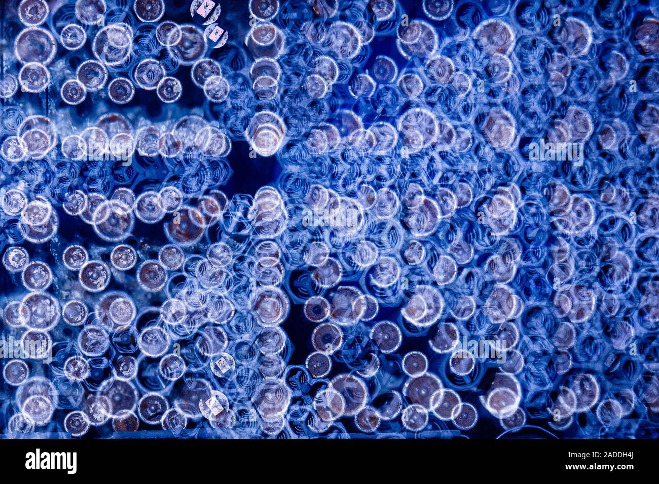 Nuclear fuel rods storage, abstract image. Uranium fuel rods being ...