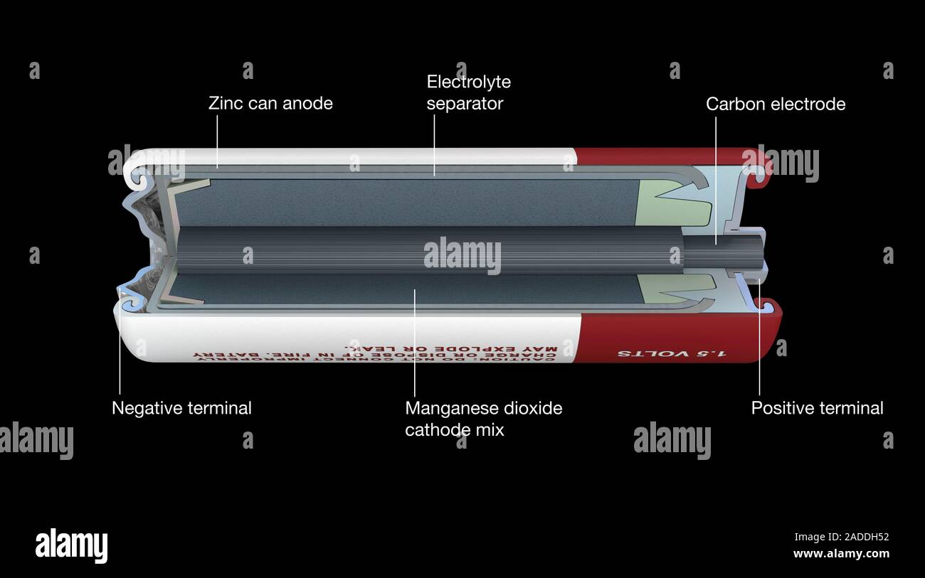 Zinc chloride battery. Cutaway illustration showing the typical