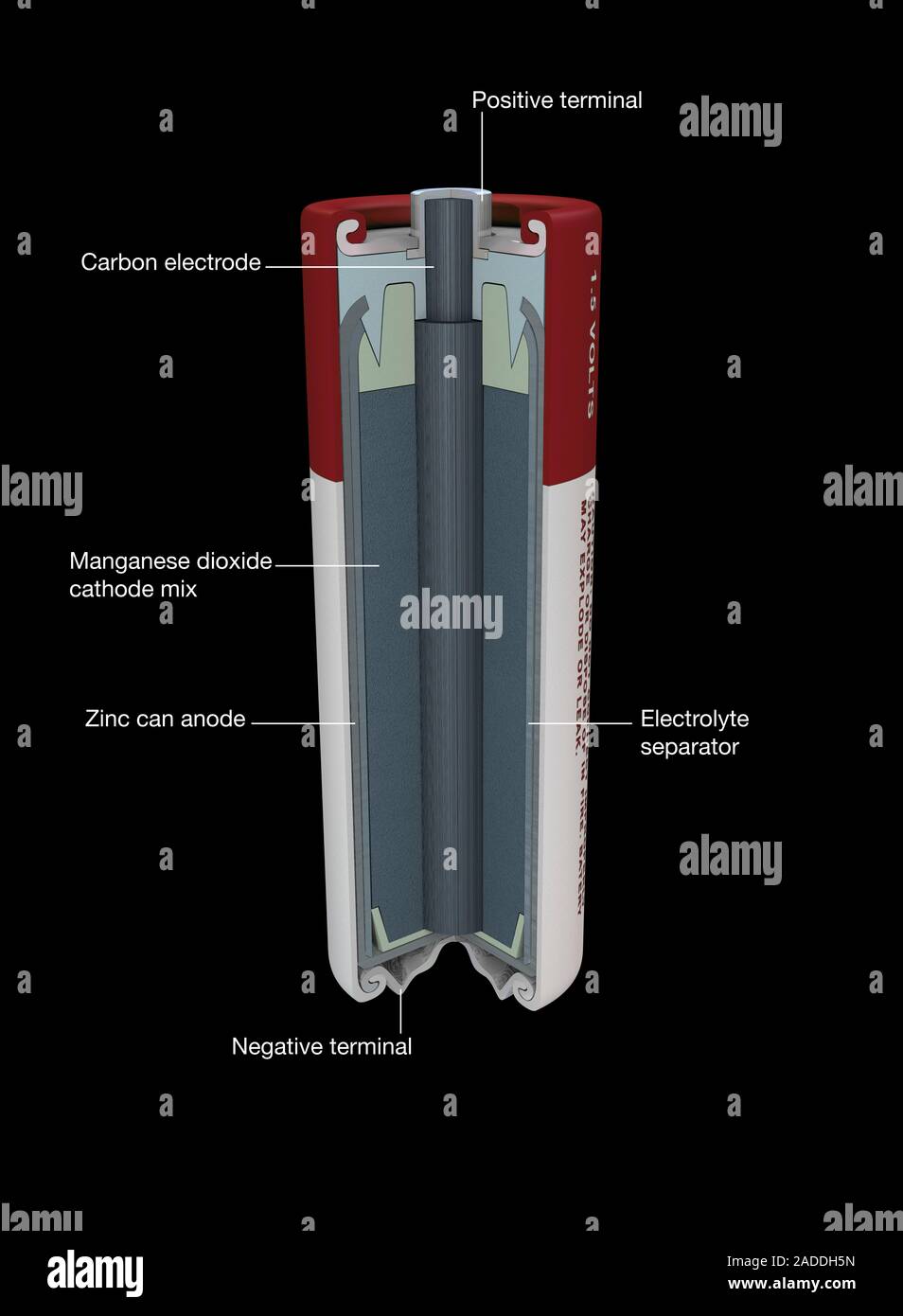 Zinc chloride battery. Cutaway illustration showing the typical