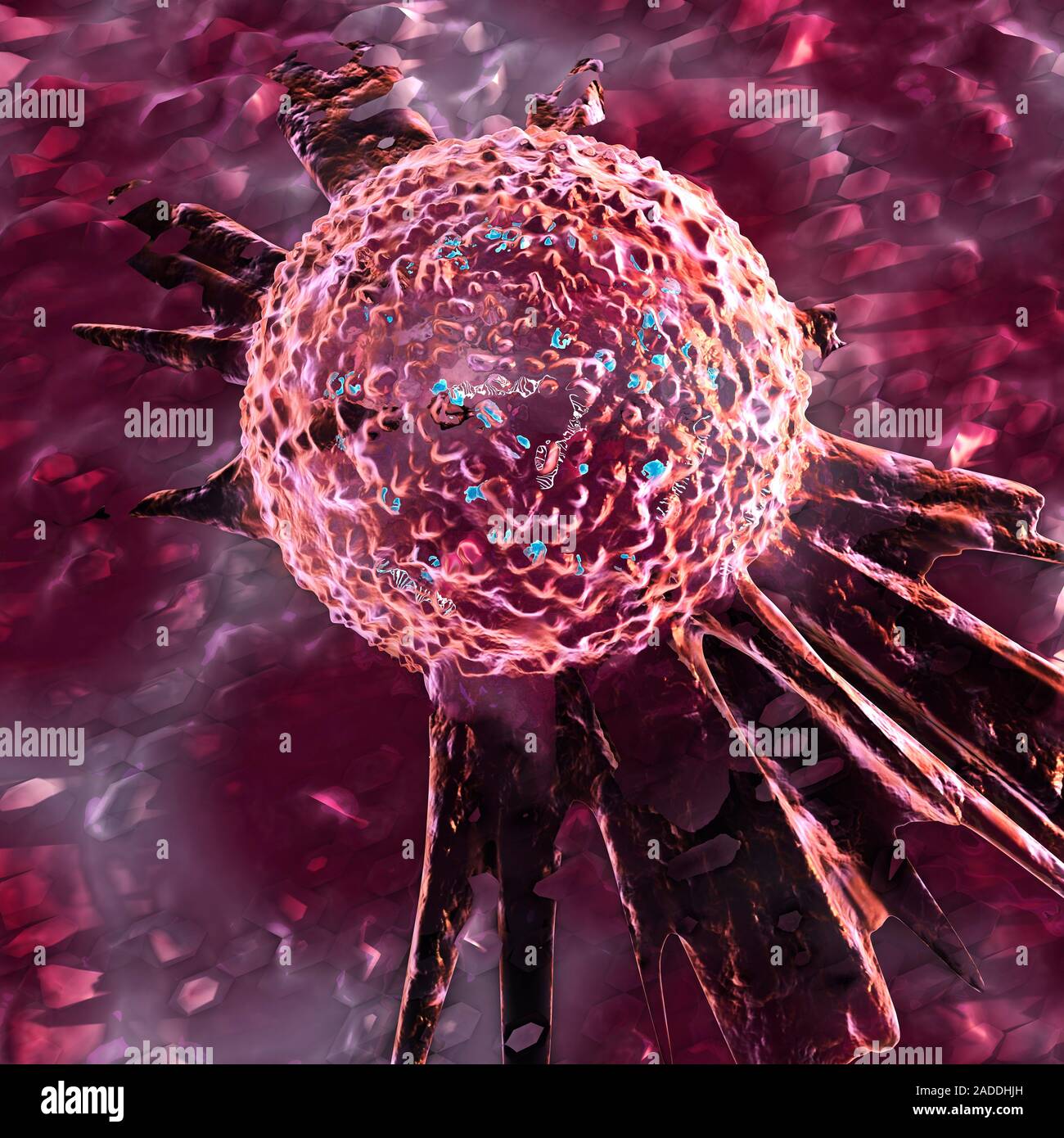 Nanoparticle cancer treatment, illustration. Cancer cell being targeted ...