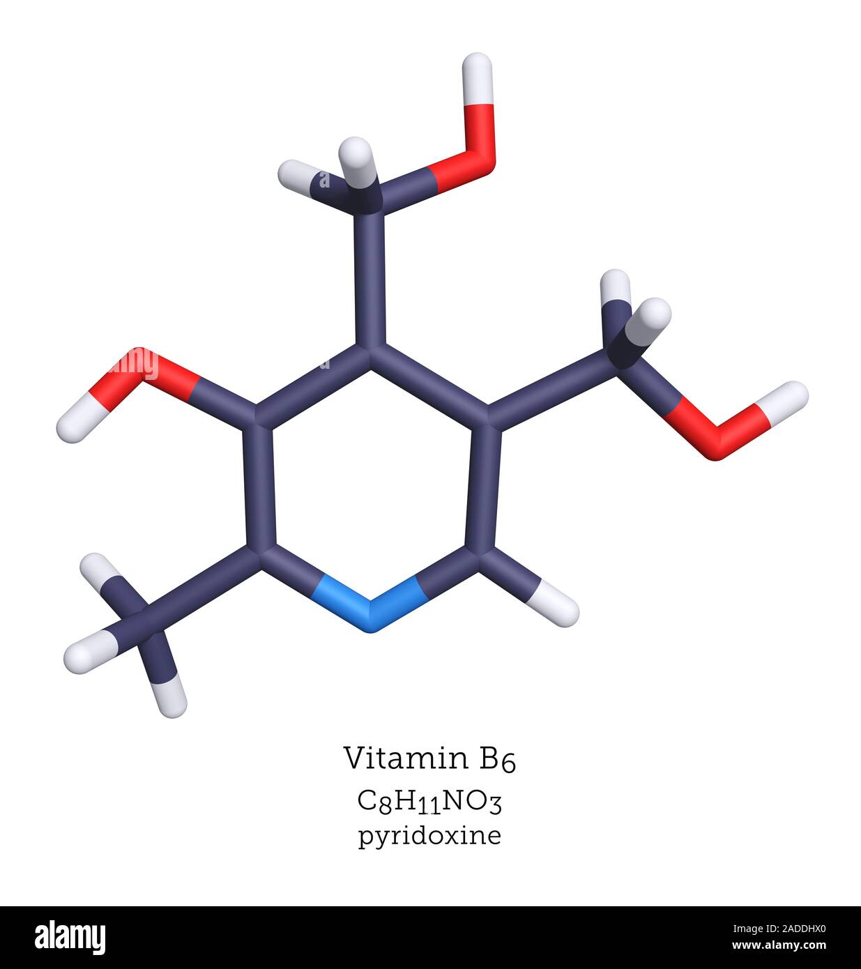 Vitamin B6, pyridoxine, is the precursor to pyridoxal phosphate (PLP