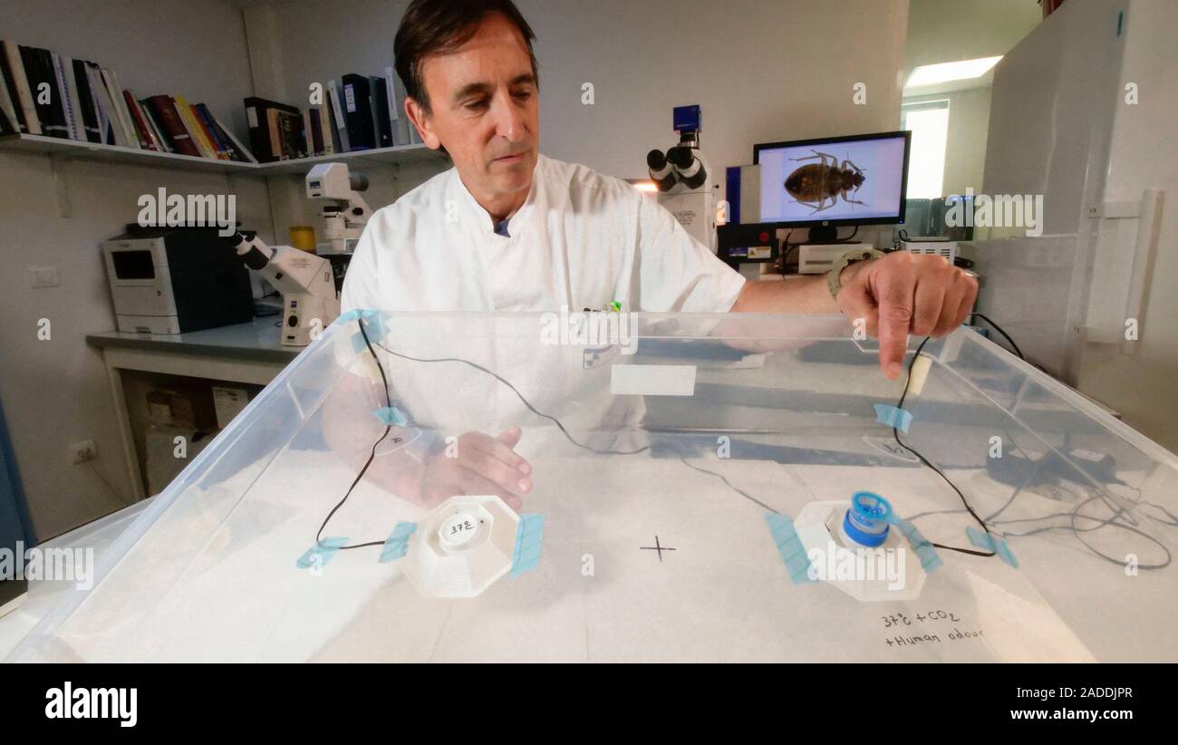 Bed bug trap research. Entomologist testing traps to attract bed bugs by odours. This trap