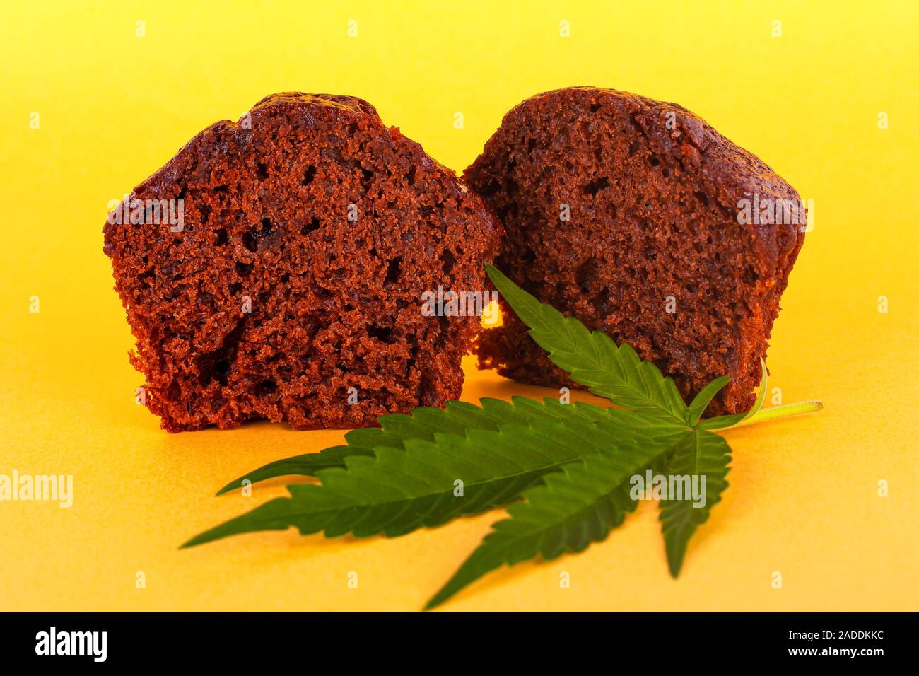 cannabis food,chocolate muffin cake with marijuana on yellow background