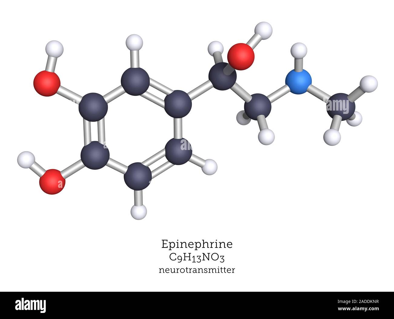 Epinephrine, also called adrenaline is both a hormone produced by the