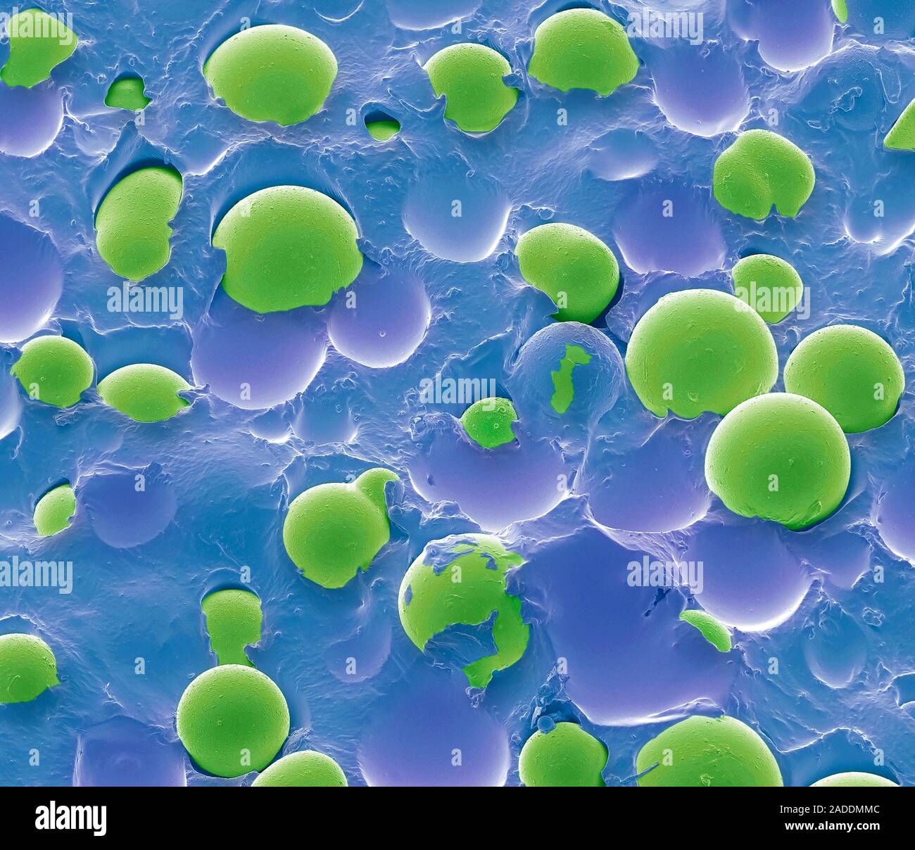 Quantum Tunnelling Composite Scanning Electron Micrograph Sem