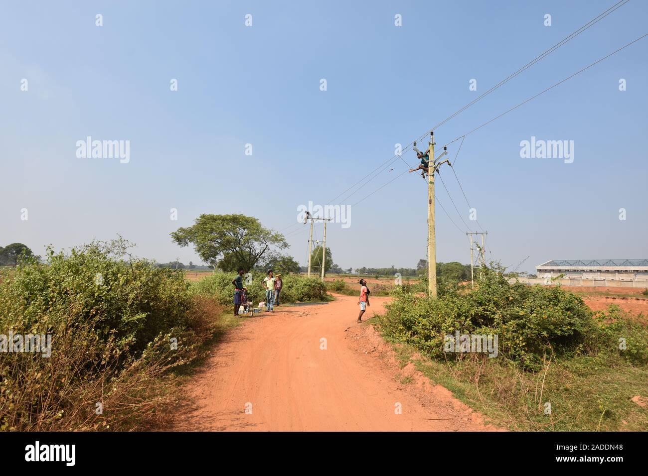 Power pole maintenance of the Gangani village road, Garbeta, West ...