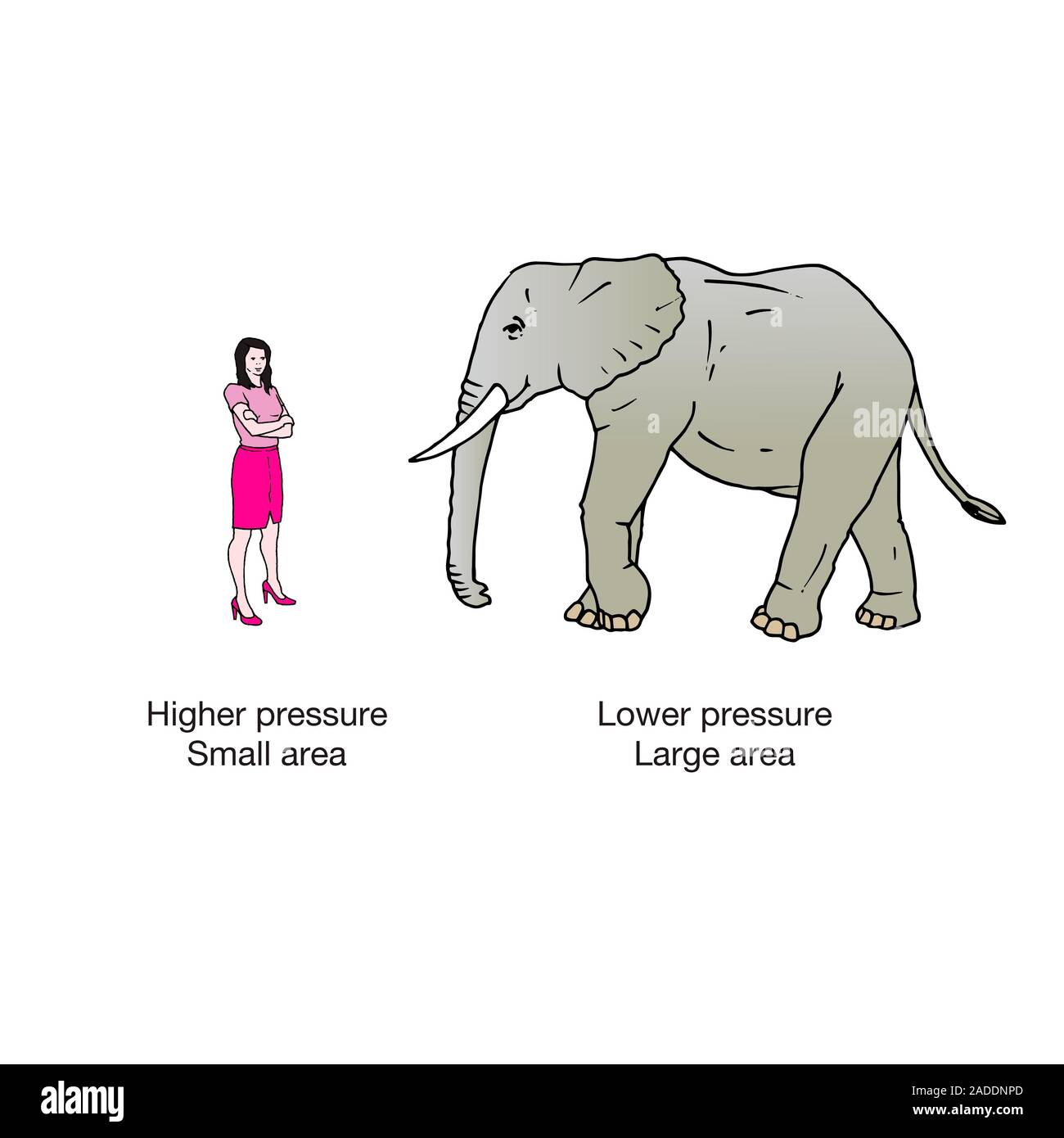Elephant wearing shoes new arrivals