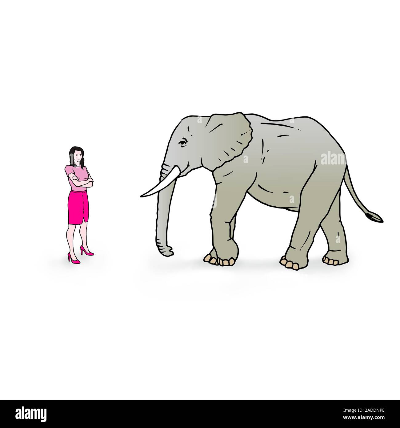 Pressure. Illustration showing a woman wearing shoes with stiletto heels and an elephant. The elephant exerts a larger force on the ground because it Stock Photo Alamy