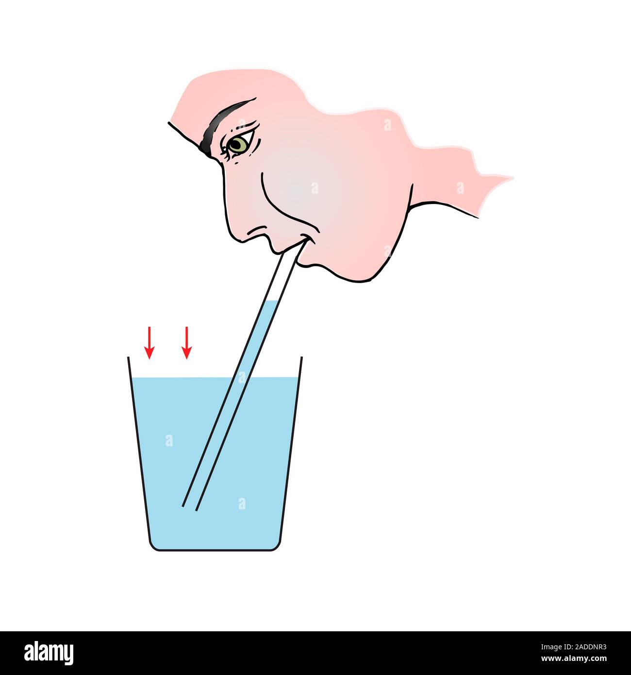 Drinking through a straw, illustration. A partial vacuum is created by