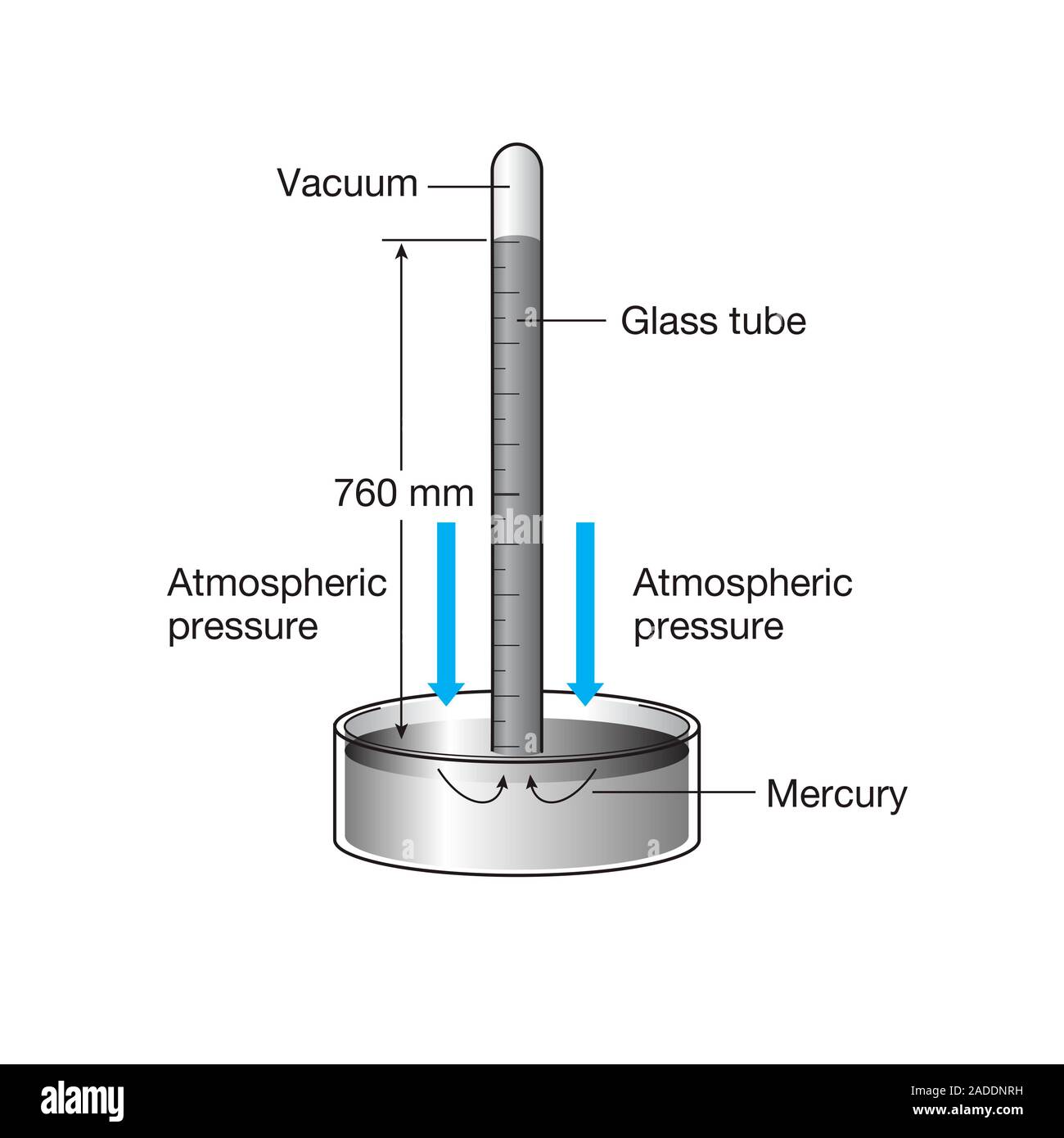 Mercury barometer, illustration. A mercury barometer consists of a glass tube closed at one end