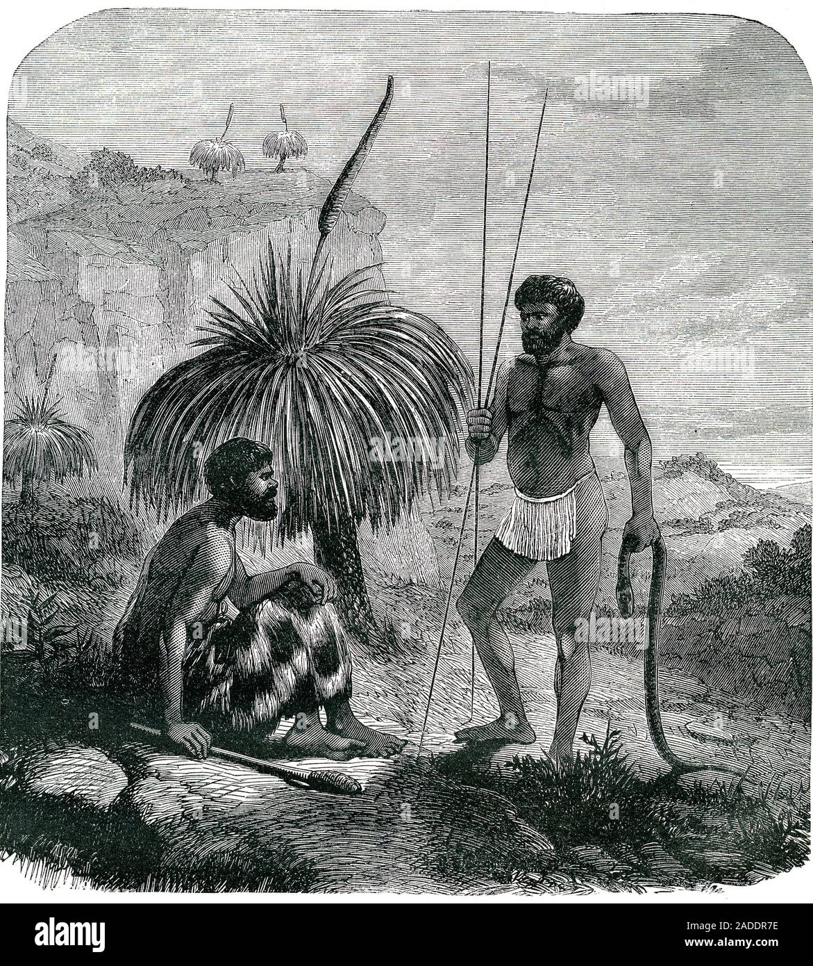 19th Century Australian snake hunters. 1868 illustration of Aboriginal ...