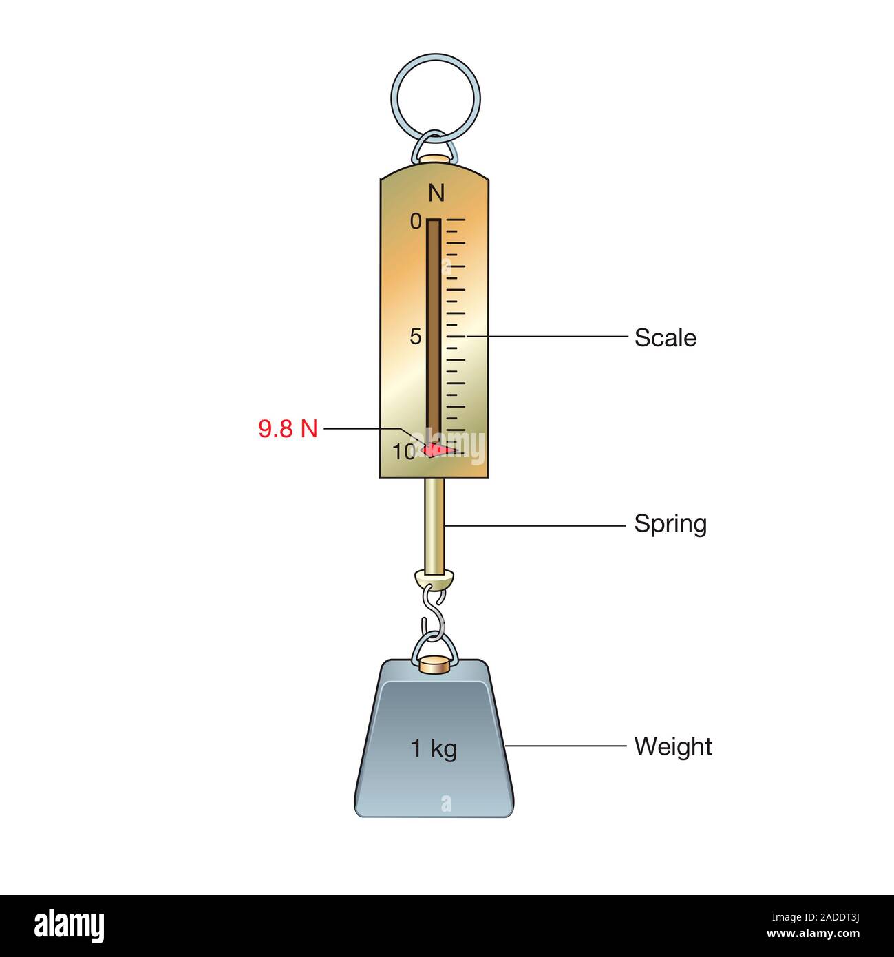 Весы и метр. Weight is the measure of. Mass and weight. Шкала фото. Units of weight measurement.