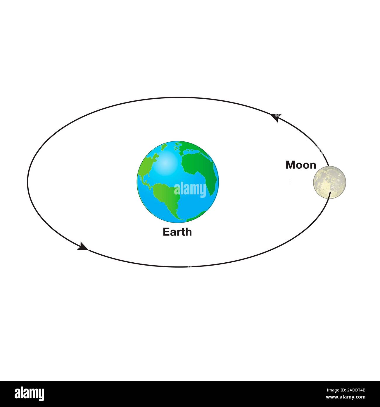Orbit of the Moon around the Earth, illustration. The Moon orbits the Earth at a distance of about 384,400 kilometres, taking just over 27 days to com Stock Photo