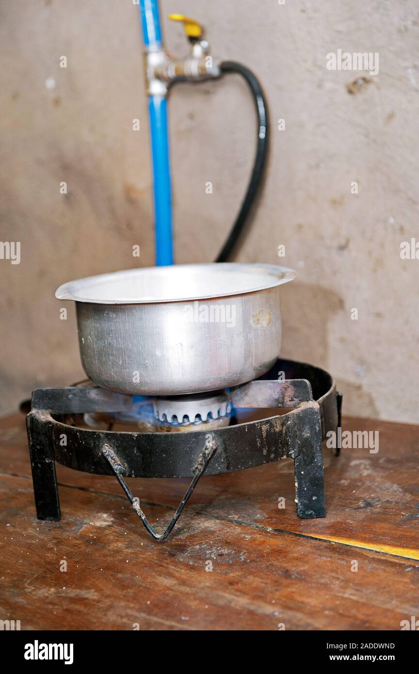 Cooking over a stove powered with methane gas from stored cattle manure