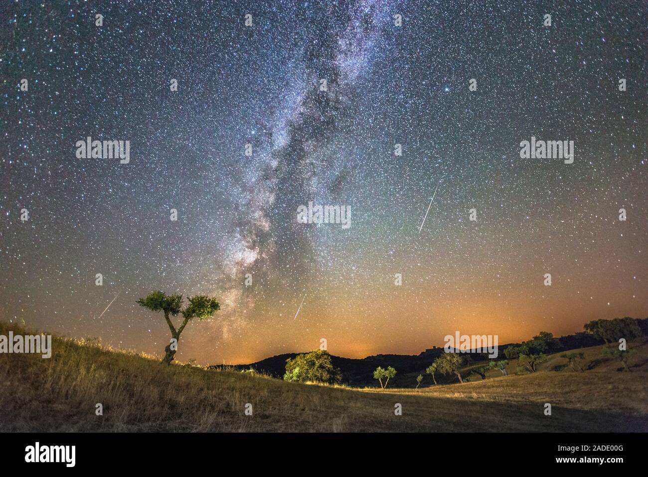 Milky Way and Perseid meteors, timeexposure image. An olive tree is at