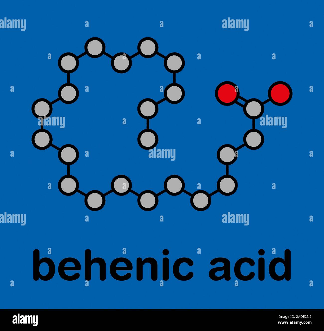 Behenic acid (docosanoic acid) saturated fatty acid molecule. Stylized ...