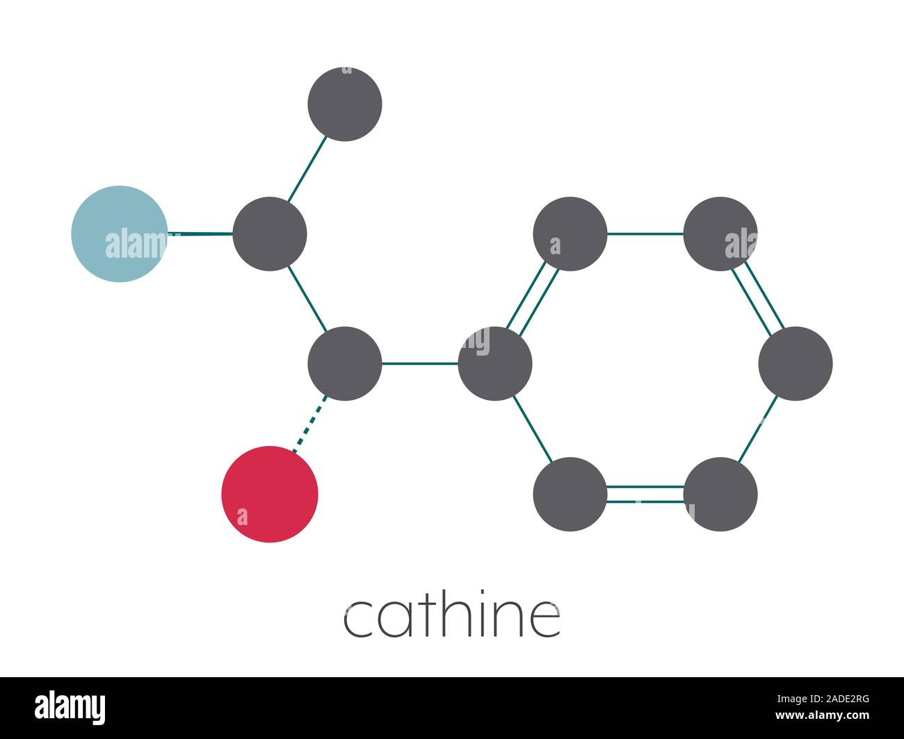 Cathine khat stimulant molecule. Present in Catha edulis (khat ...
