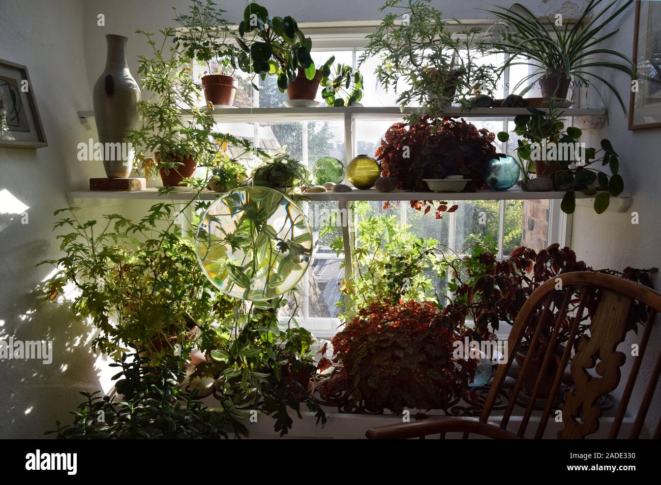 plexiglass disc 1960 (circa) Gregorio Vardanega, kettle's yard