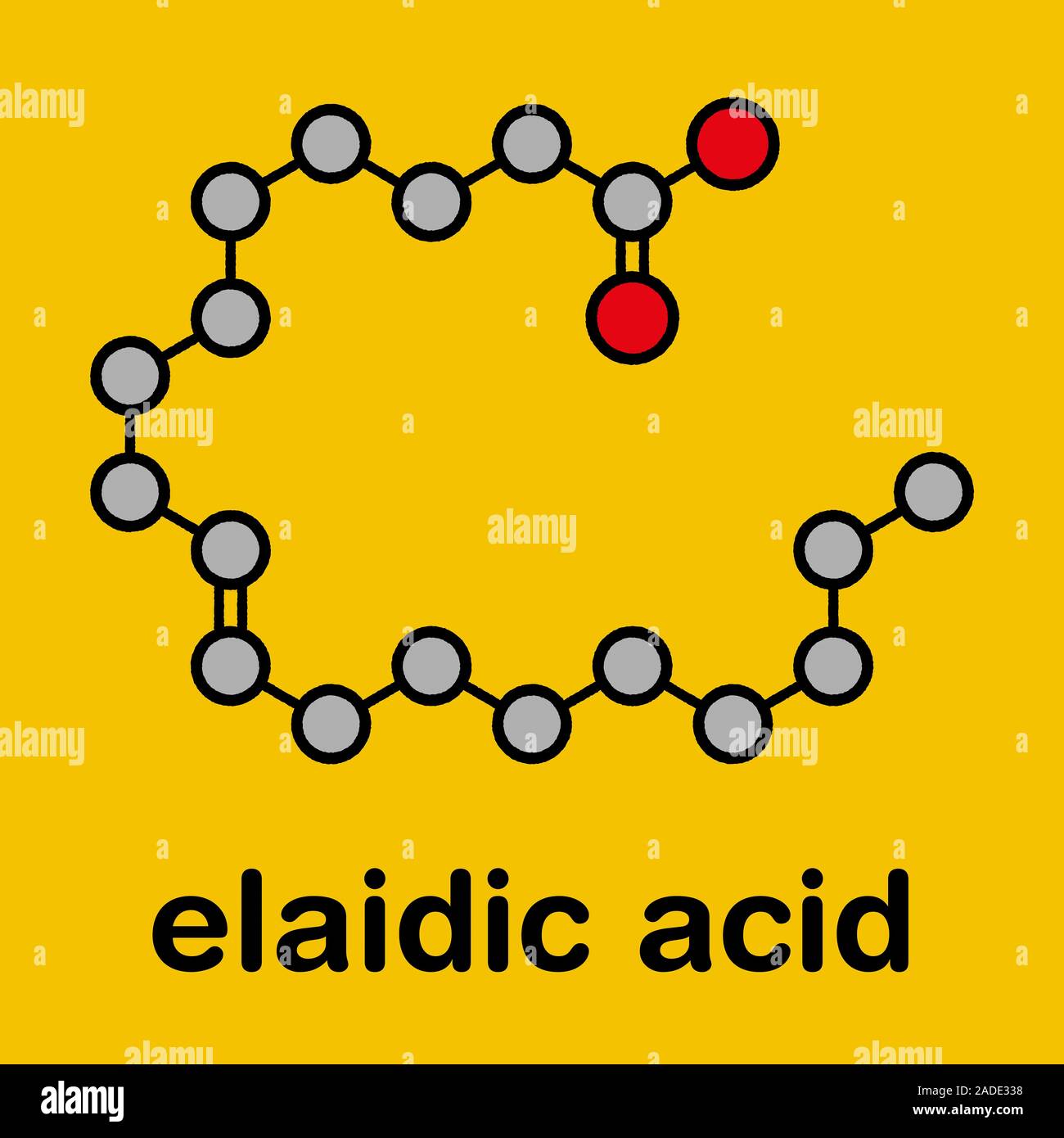 Elaidic acid molecule. The main trans fat found in hydrogenated