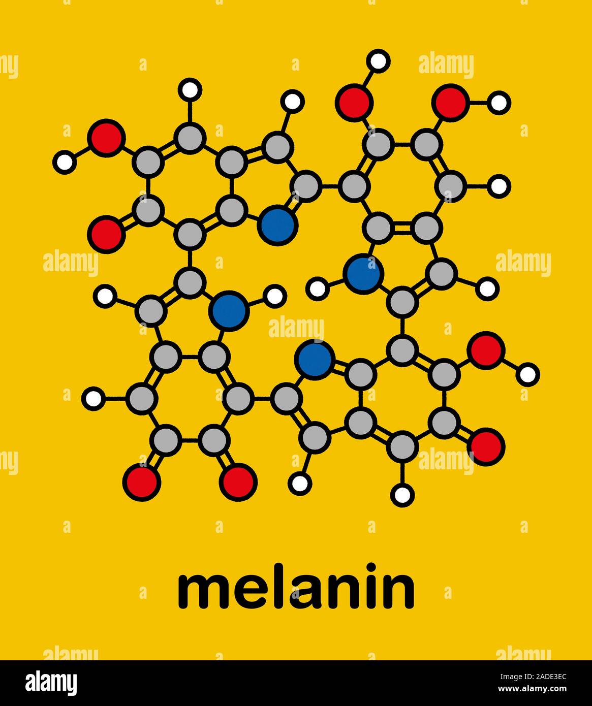 Melanin (eumelanin), proposed oligomeric structure model. Primary