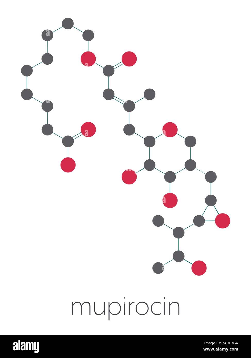 Mupirocin (pseudomonic acid) antibiotic drug molecule. Used topically