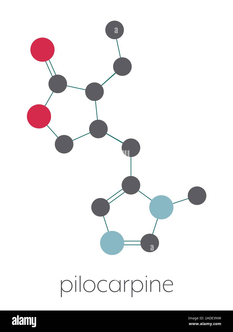 Pilocarpine drug molecule. Stylized skeletal formula (chemical