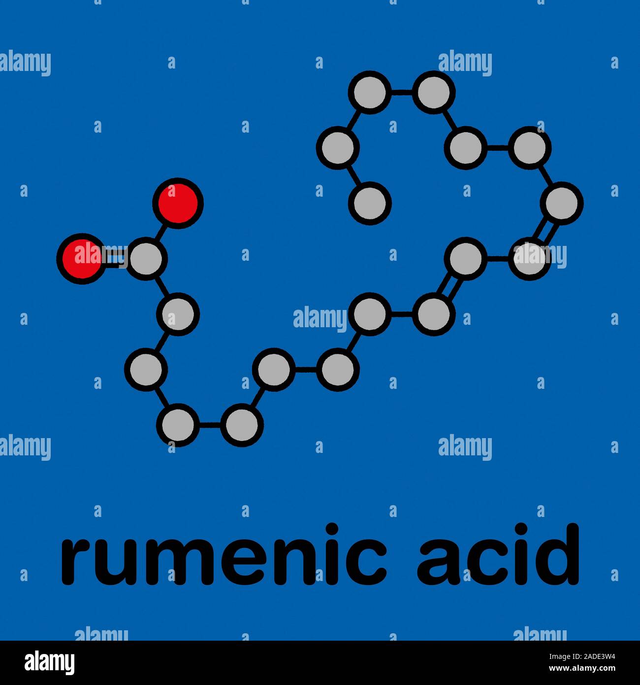 Rumenic acid (bovinic acid, conjugated linoleic acid, CLA) fatty acid