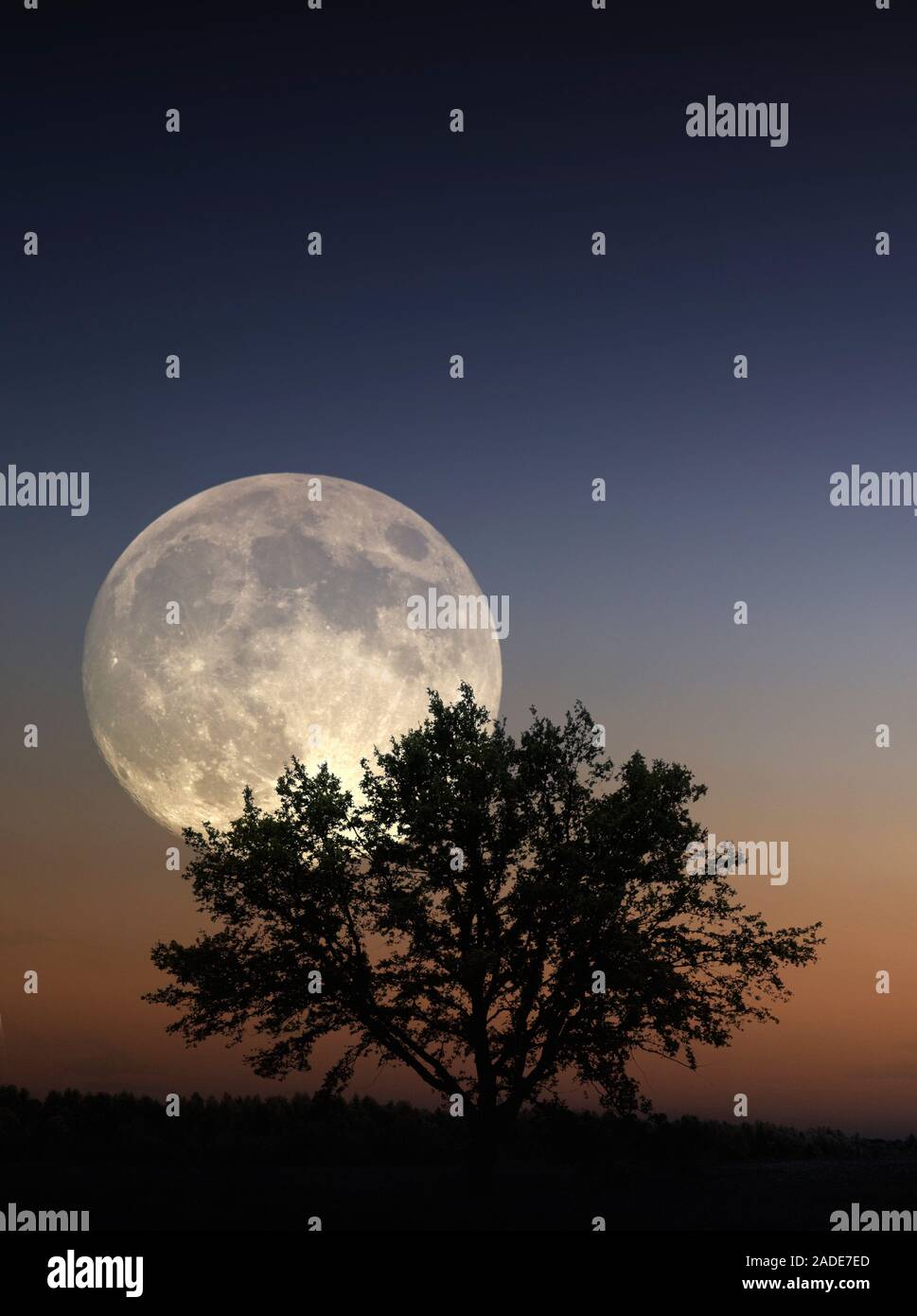 Full Moon rising. The Moon is Earth's only permanent natural satellite ...